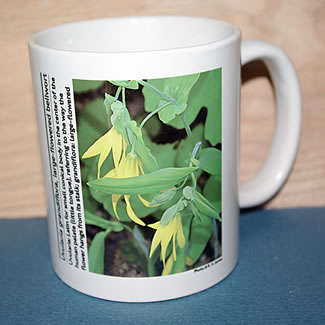 mug DS-076 6692.jpg